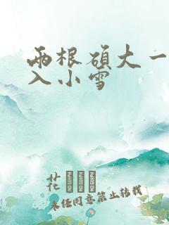 两根硕大一起挤入小雪