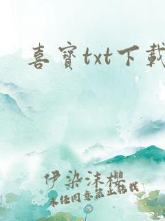 喜宝txt下载