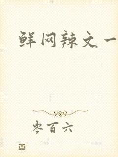 鲜网辣文一对一