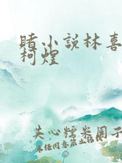 赌小说林喜朝和柯煜