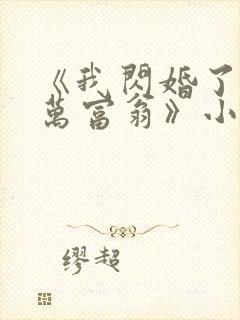 《我闪婚了个亿万富翁》小说