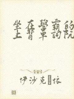 坐在学霸的棍子上背单词阮梅