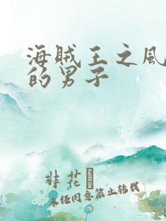 海贼王之风一样的男子