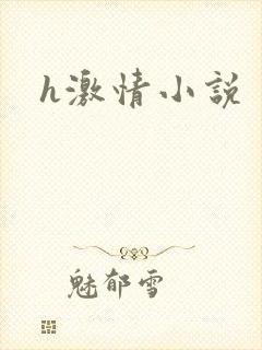 h激情小说