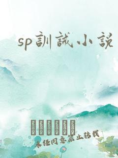 sp训诫小说