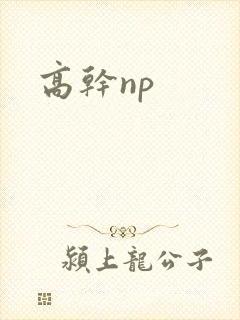 高干np