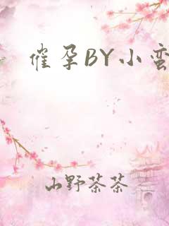 催孕BY小蛮腰