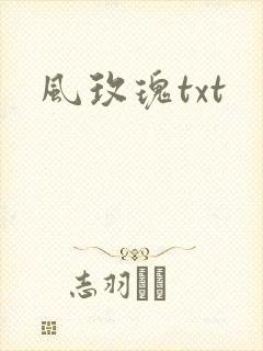 风玫瑰txt