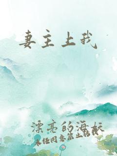 妻主上我