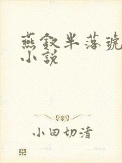 燕钗半落琥珀糖小说