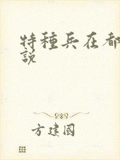 特种兵在都市小说