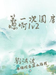 第一次圆房～h嗯啊1v2