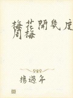 梅花开几度老张周梅