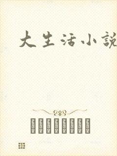 大生活小说