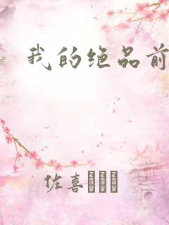 我的绝品前妻