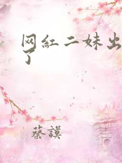 网红二妹出啥事了