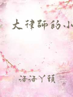 大律师的小老婆