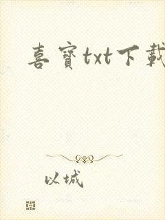 喜宝txt下载