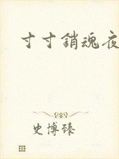 寸寸销魂夜春光