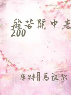 般若关中老人5200