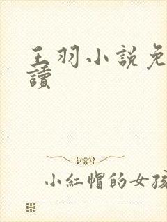 王羽小说免费阅读