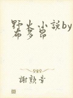 野火小说by夏布多昂