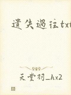 遗失过往txt