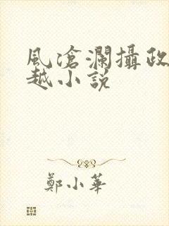 风沧澜摄政王穿越小说