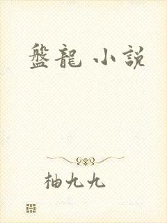 盘龙 小说