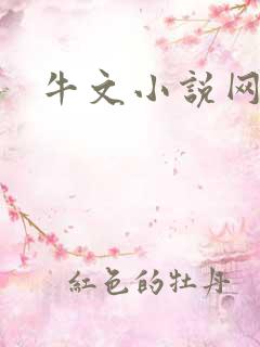 牛文小说网