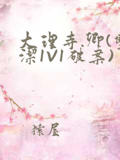 大理寺.卿(双洁1V1破案)