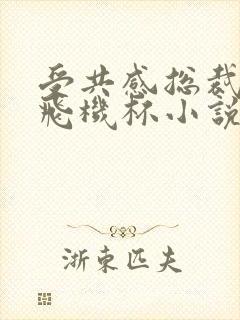 受共感总裁攻的飞机杯小说叫什么