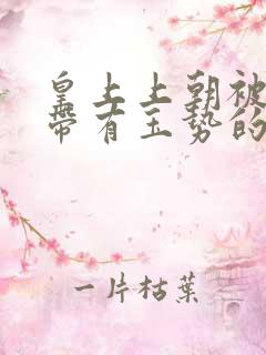 皇上上朝被迫坐带有玉势的龙椅