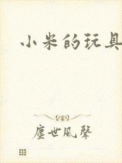 小米的玩具日记