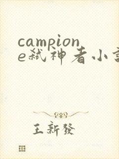 campione弑神者小说