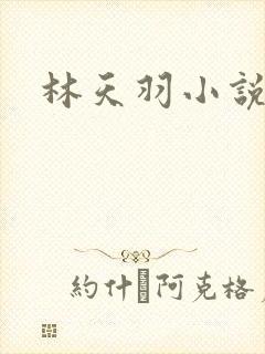 林天羽小说