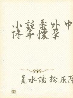 小说番外中结局佟年怀孕