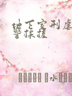 地下室刑虐女刑警揉搓