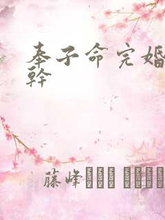 奉子命完婚 高干