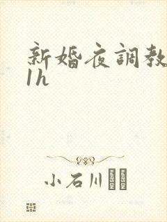 新婚夜调教1v1h