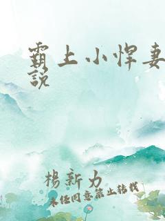 霸上小悍妻 小说