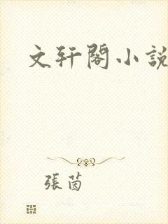 文轩阁小说网