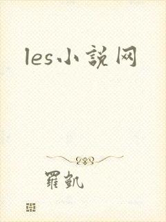 les小说网