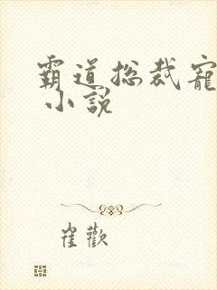 霸道总裁宠上天 小说