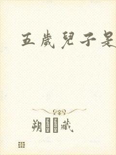 五岁儿子是相公