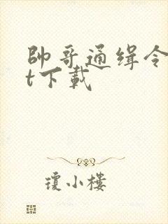 帅哥通缉令txt下载