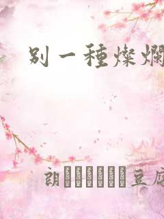 别一种灿烂生活