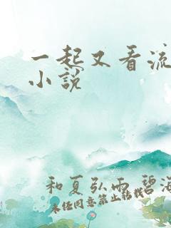 一起又看流星雨小说