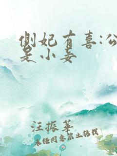 侧妃有喜:公主是小妾