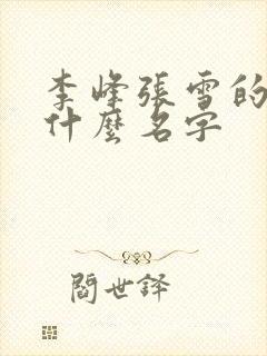 李峰张雪的书叫什么名字